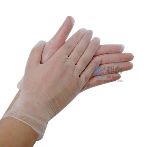 广州雄泰劳保用品PVC手套一次性手套防静电无粉手套电子厂高清图片 高清大图