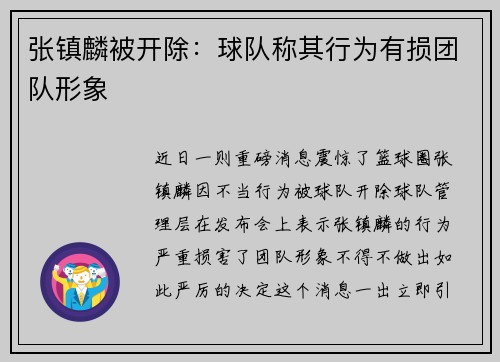 张镇麟被开除：球队称其行为有损团队形象