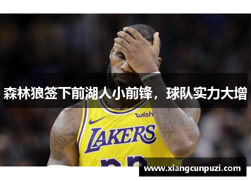 森林狼签下前湖人小前锋，球队实力大增