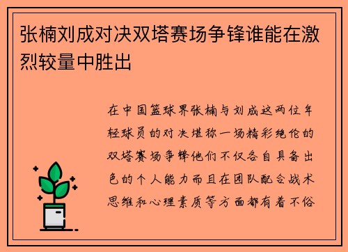 张楠刘成对决双塔赛场争锋谁能在激烈较量中胜出