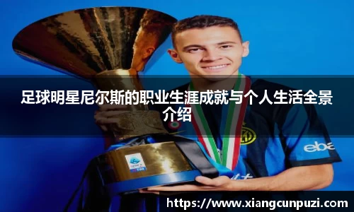 足球明星尼尔斯的职业生涯成就与个人生活全景介绍